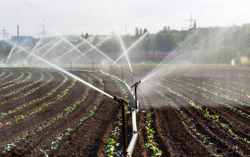 Técnicas de irrigação
